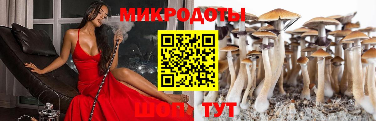 Галлюциногенные грибы GOLDEN TEACHER  купить наркоту  Славгород  Вход с VPN  Псилоцибиновые грибы Magic Shrooms 